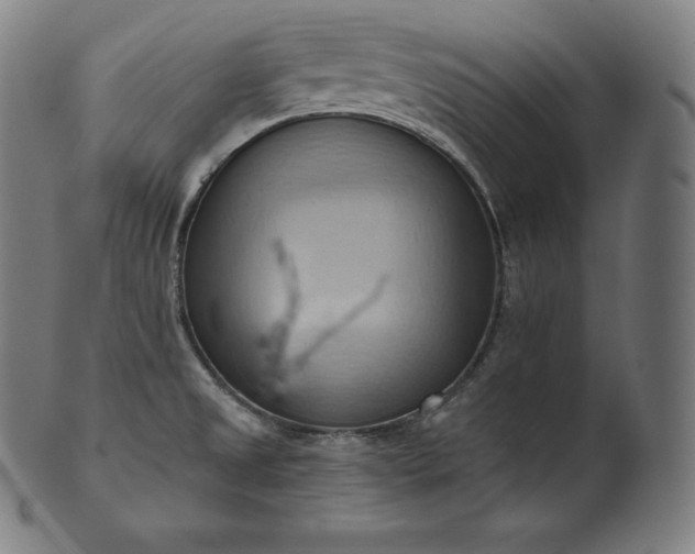 X0000101211525200807111021