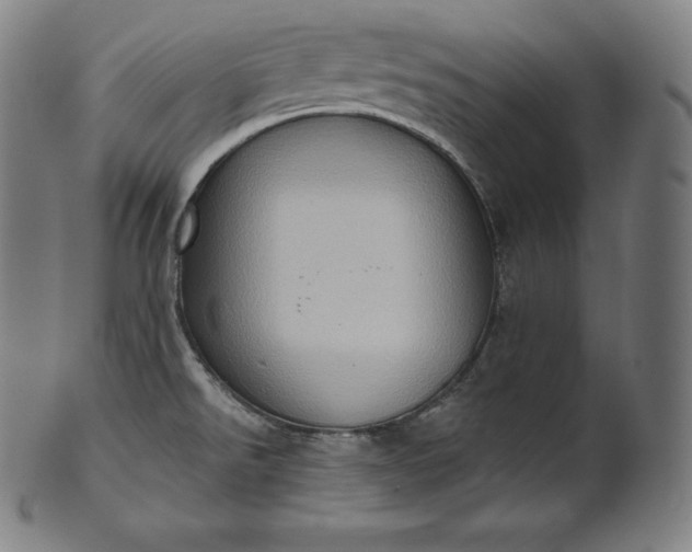 X0000101211526200807111021