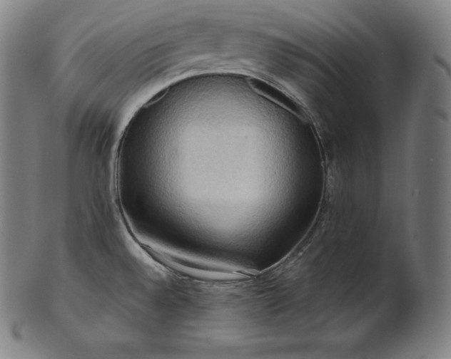 X0000101211528200807111021