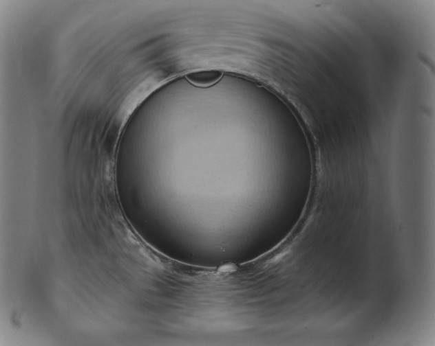 X0000101211529200807111021