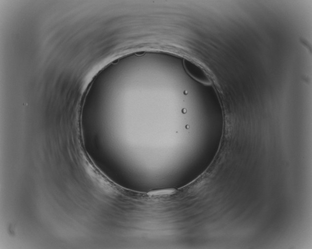 X0000101211530200807111021