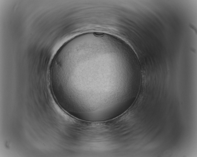 X0000101211531200807111021