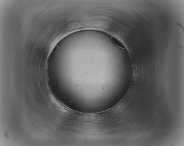 X0000101211532200807111021