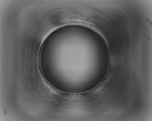 X0000101211533200807111021