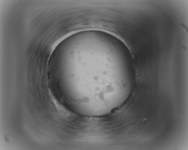 X0000101211534200807111021