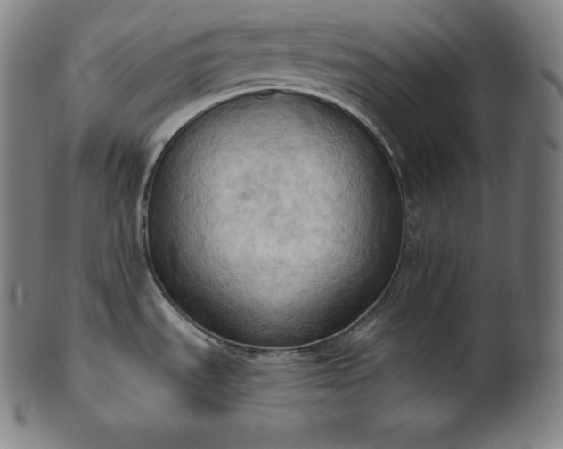 X0000101211535200807111021