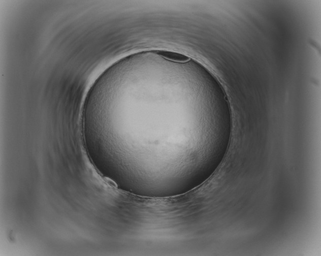 X0000101211536200807111021