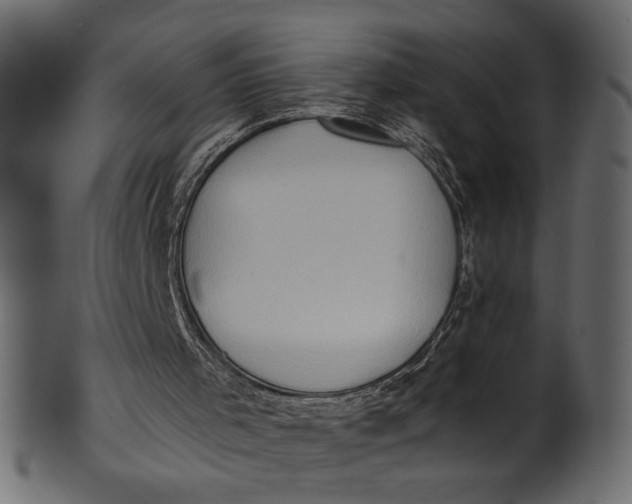 X0000101210001200807181429