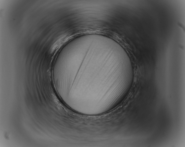 X0000101210002200807181429