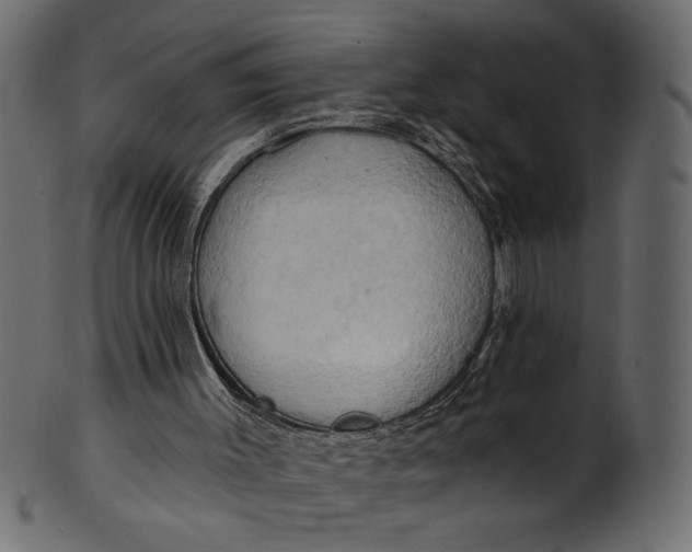 X0000101210003200807181429