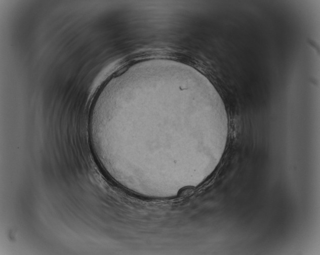 X0000101210004200807181429