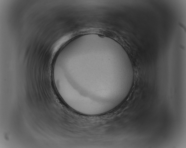 X0000101210006200807181429