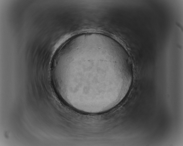 X0000101210008200807181429