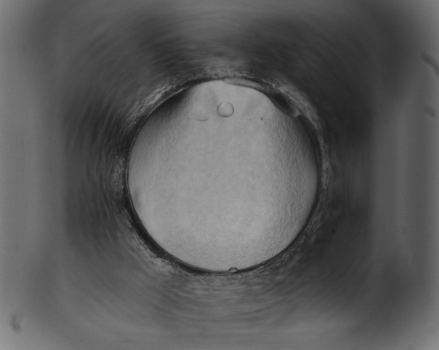 X0000101210009200807181429