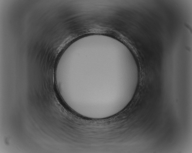 X0000101210011200807181429