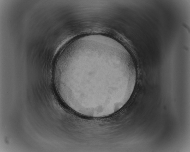 X0000101210012200807181429