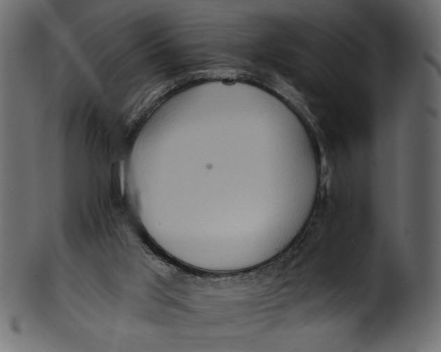 X0000101210013200807181429