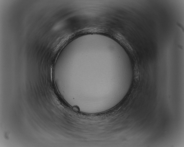 X0000101210014200807181429