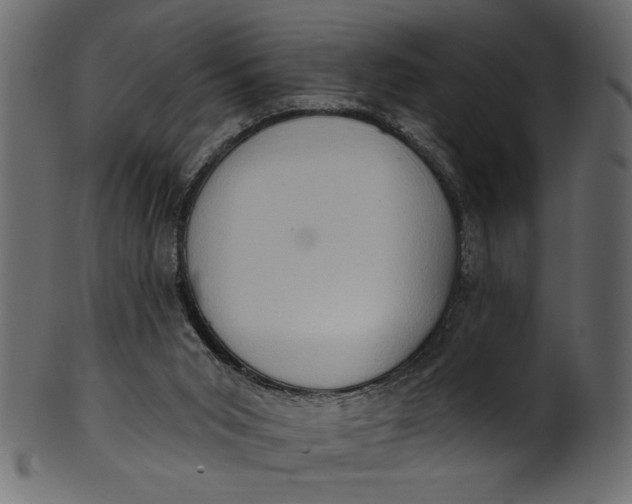 X0000101210015200807181429