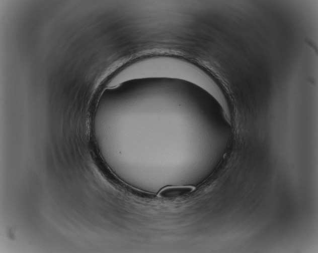 X0000101210016200807181429