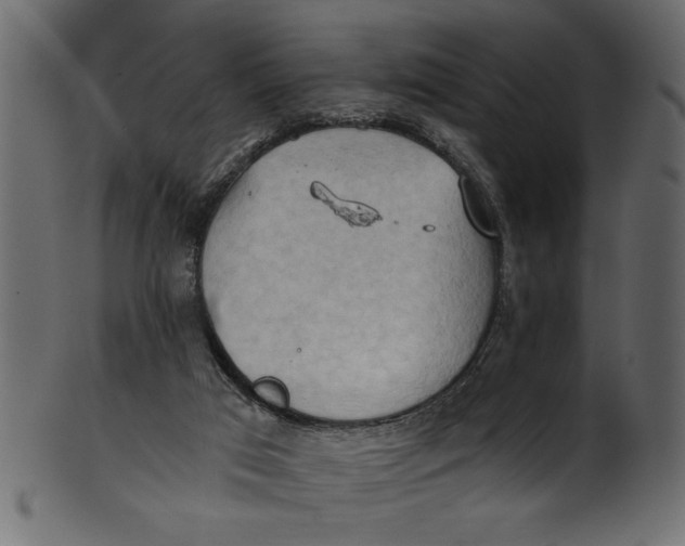 X0000101210017200807181429