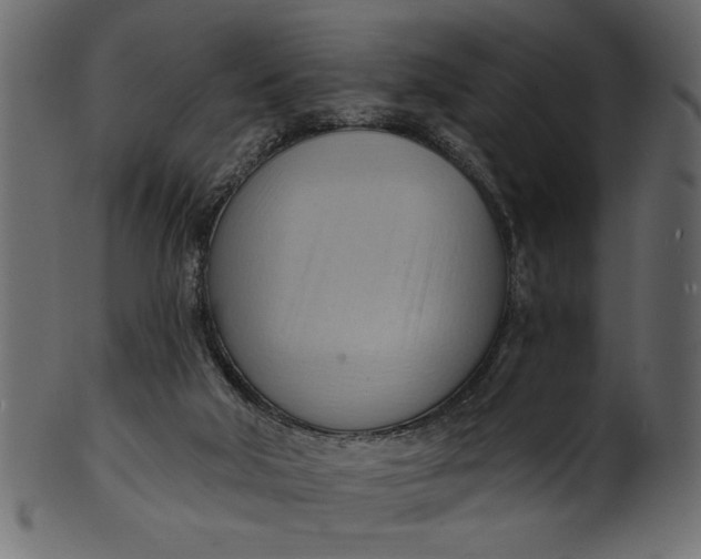 X0000101210018200807181429