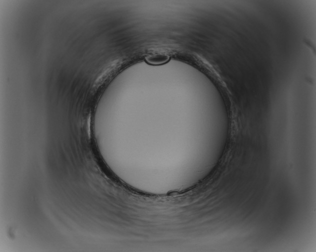 X0000101210019200807181429