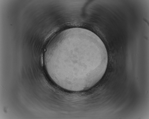 X0000101210020200807181429