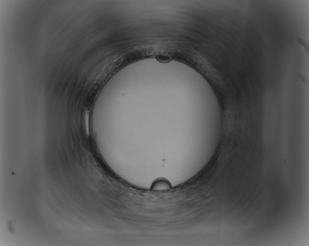 X0000101210022200807181429