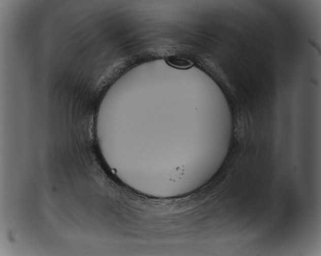 X0000101210023200807181429