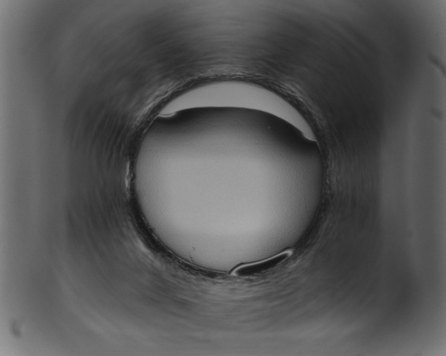 X0000101210024200807181429