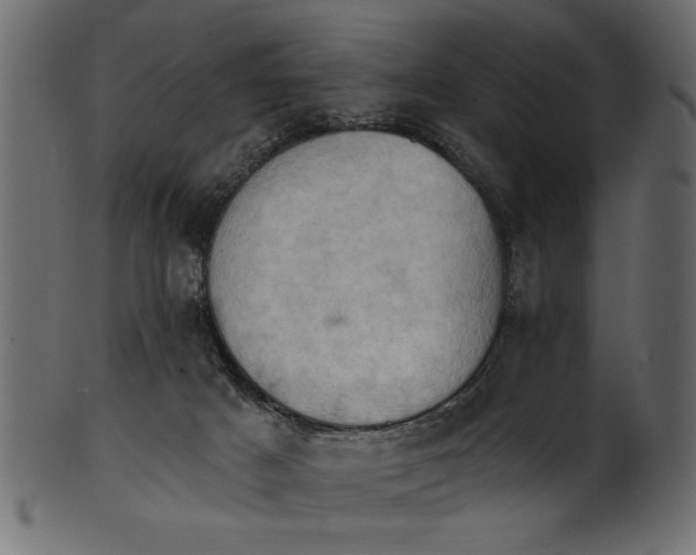 X0000101210025200807181428