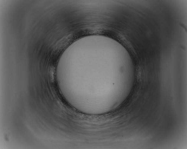 X0000101210026200807181428