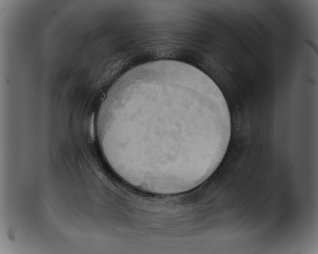 X0000101210028200807181428