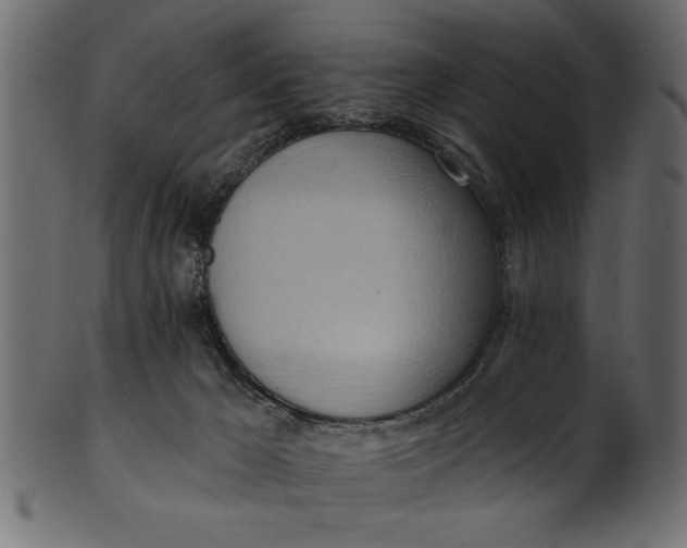 X0000101210029200807181428