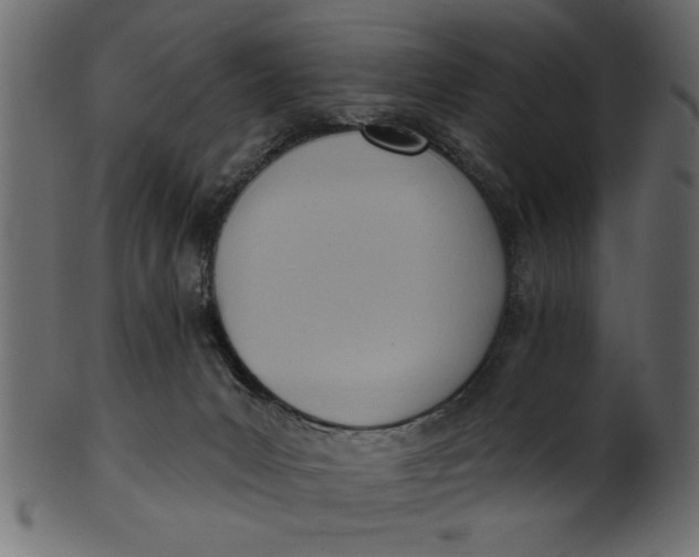 X0000101210031200807181428