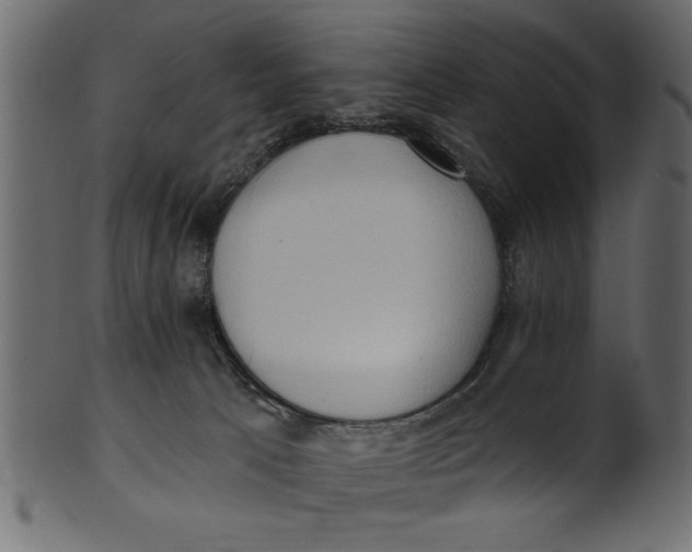 X0000101210033200807181428