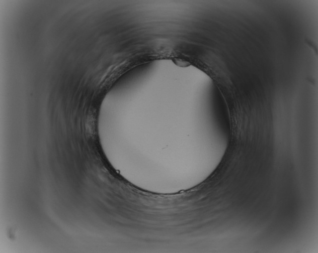 X0000101210035200807181428