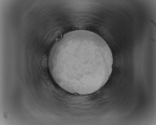 X0000101210036200807181428