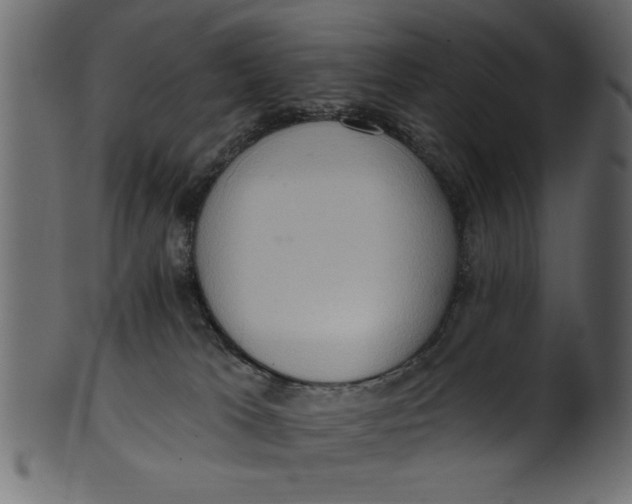 X0000101210037200807181428