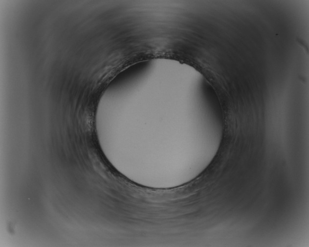 X0000101210039200807181428