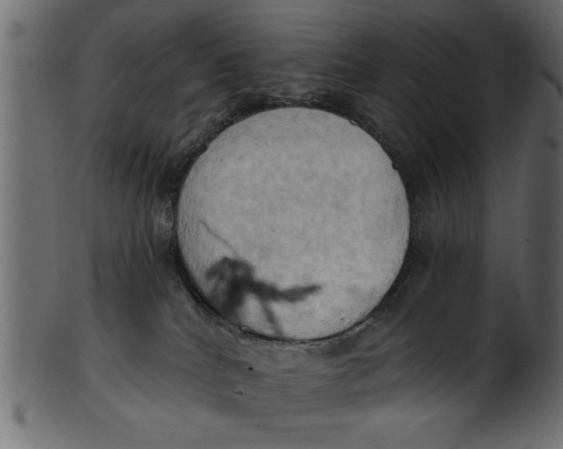 X0000101210040200807181428