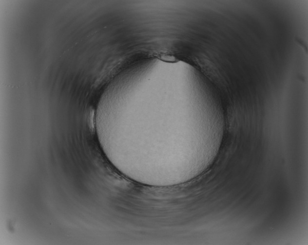 X0000101210041200807181428