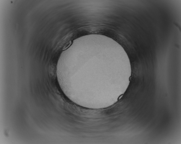 X0000101210044200807181428