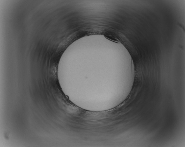 X0000101210045200807181428