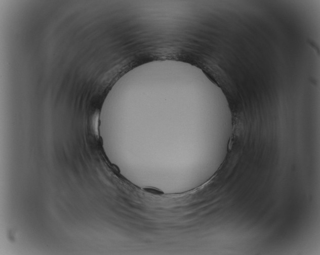 X0000101210047200807181428