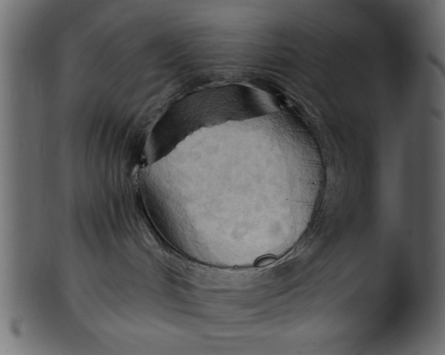 X0000101210048200807181428