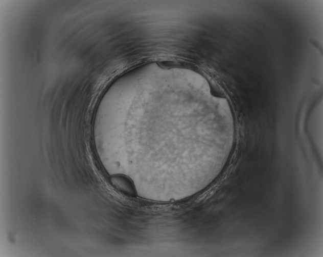 X0000101210049200807181427