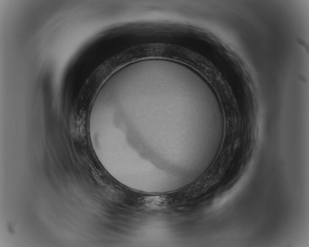 X0000101210050200807181428