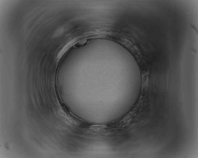 X0000101210051200807181428